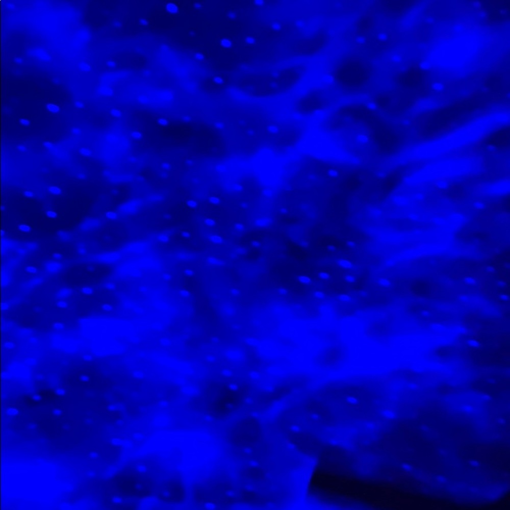 Meet your Posher, Kylie